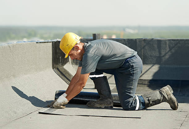 Best Insulation Installation Services in Leesburg, OH